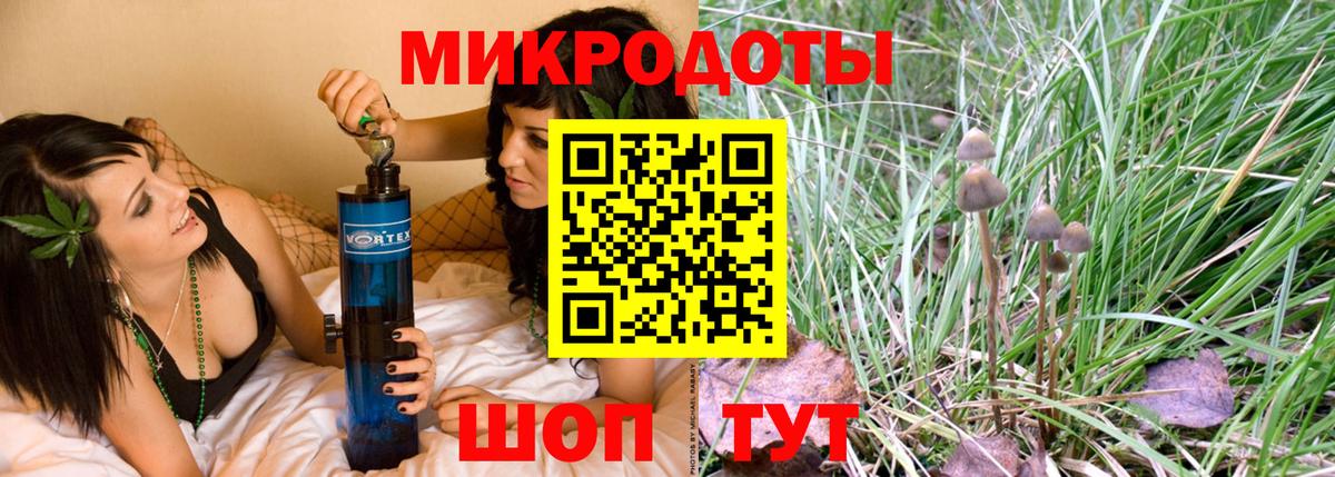 Галлюциногенные грибы Гулькевичи
